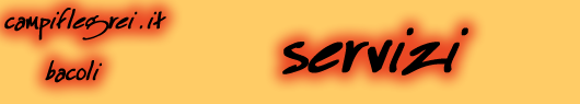servizi